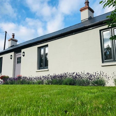 Lavender Cottage - 2 Bedroom Home Ньюбридж Экстерьер фото