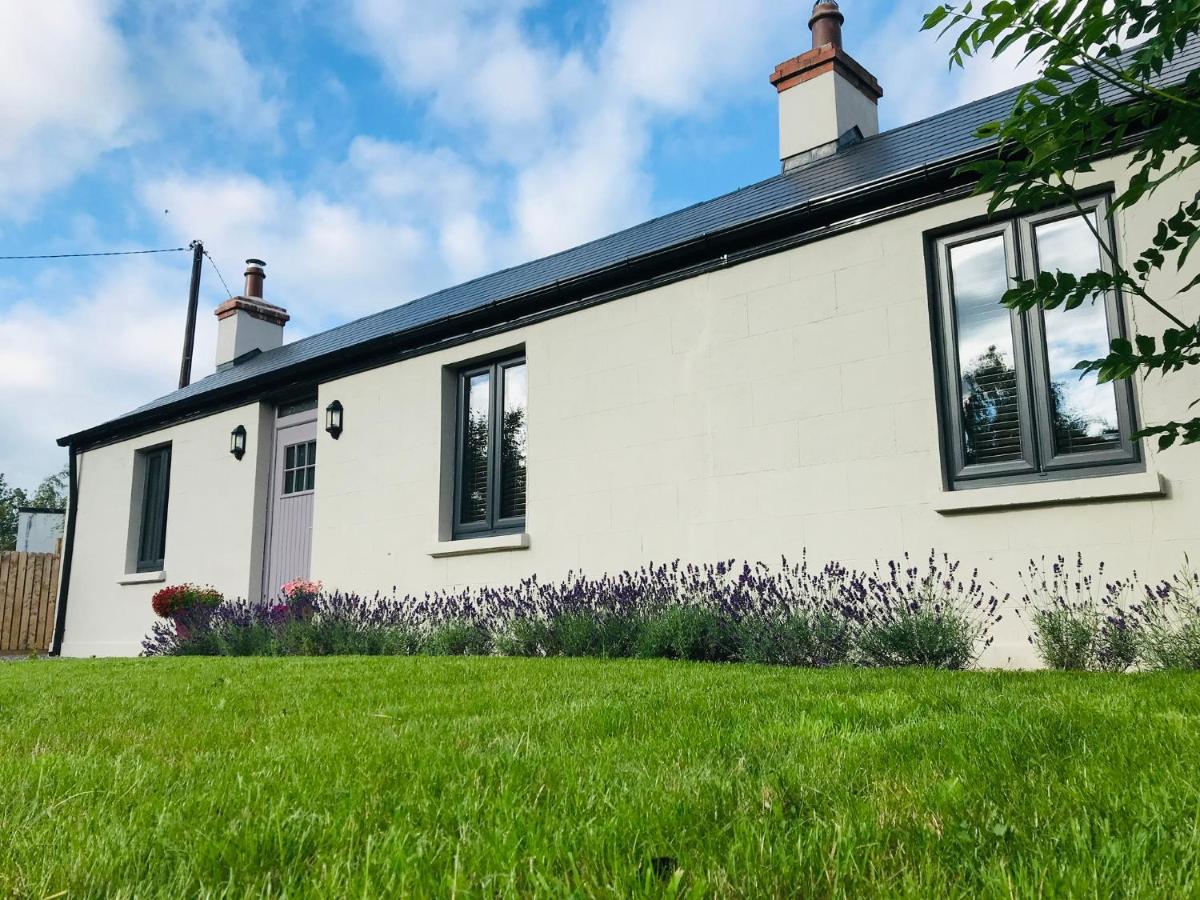 Lavender Cottage - 2 Bedroom Home Ньюбридж Экстерьер фото