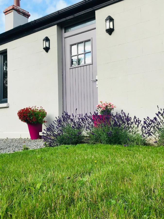 Lavender Cottage - 2 Bedroom Home Ньюбридж Экстерьер фото